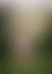 senior graduate with arm up