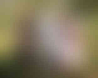 Mom and dad holding up son to stand