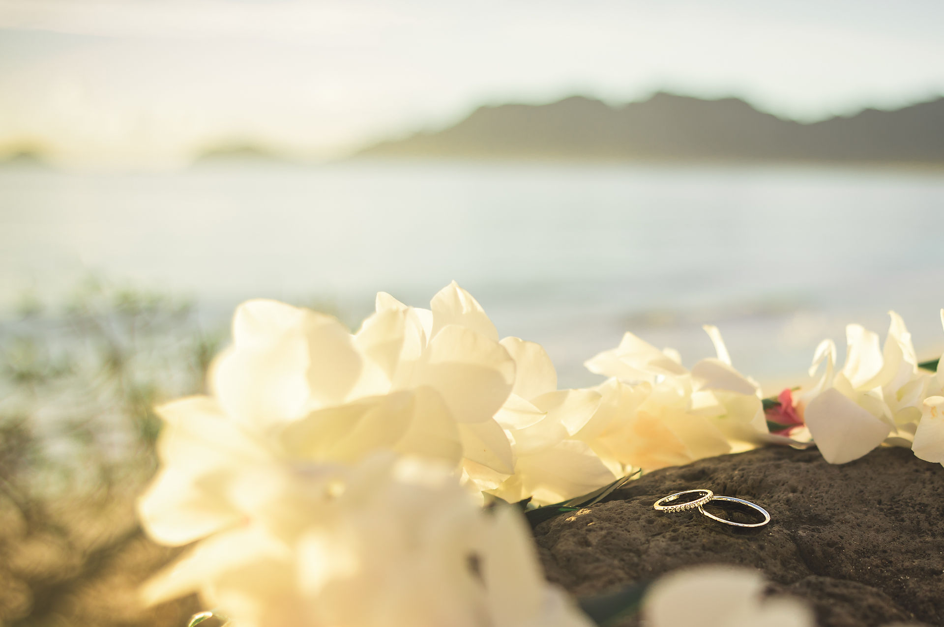Shot of ring with lei draped around it