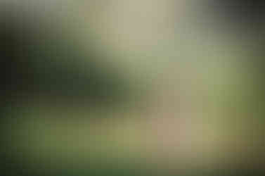 senior college graduate posing in front of mountain back drop