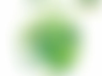 05 de Junho - Dia do Meio Ambiente