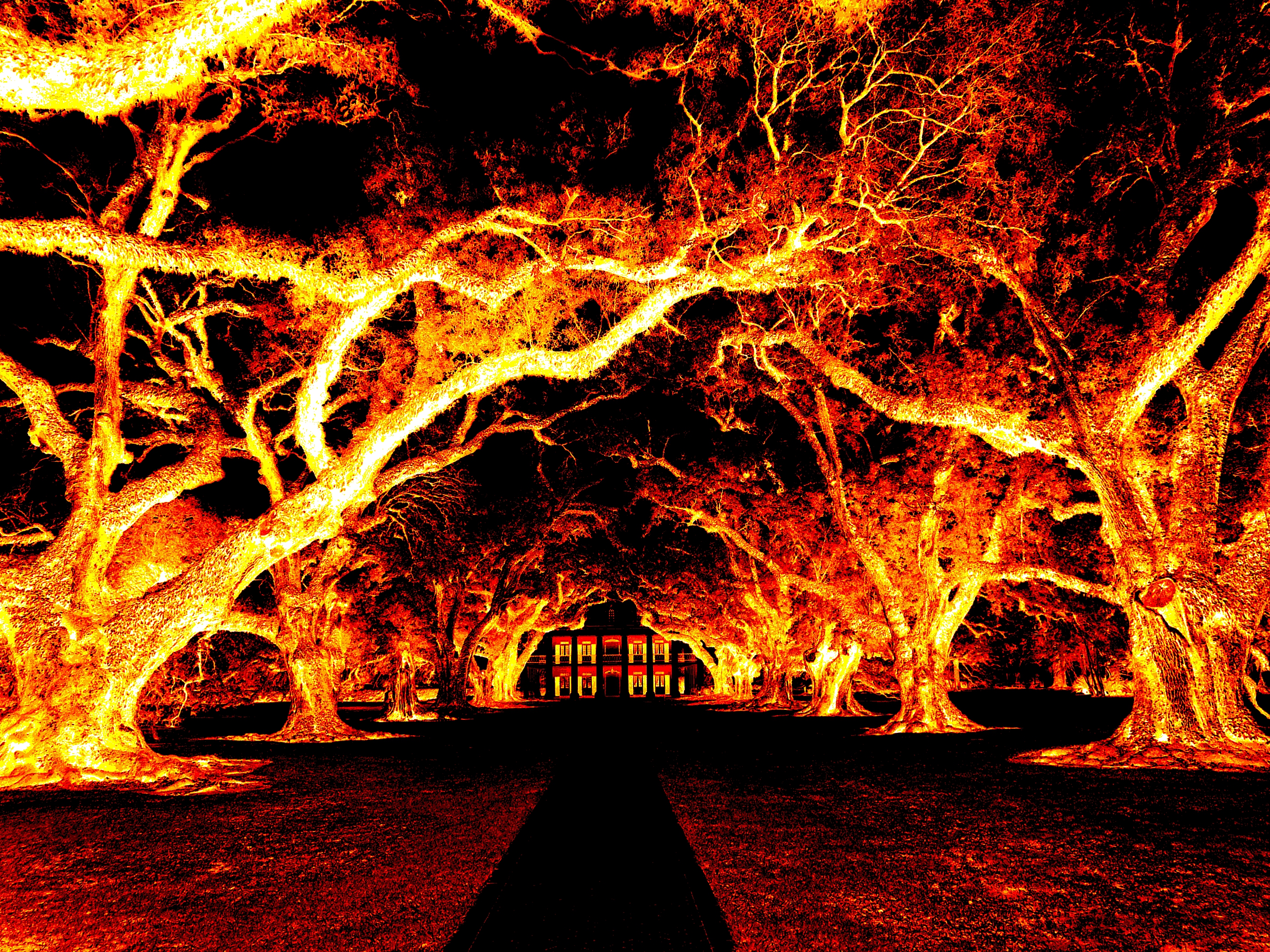 Oak Alley heisse Nacht
