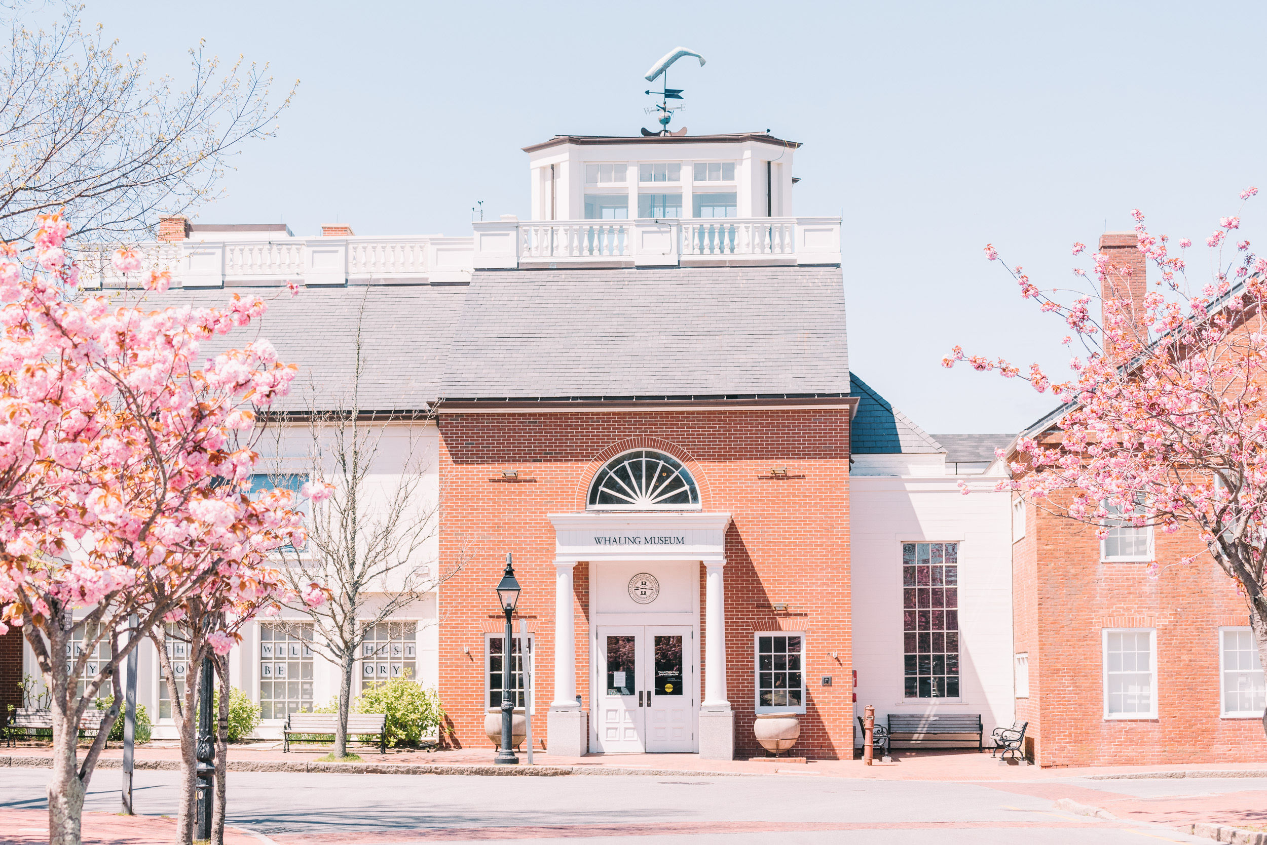 Nantucket Whaling Museum Cherry Trees 1