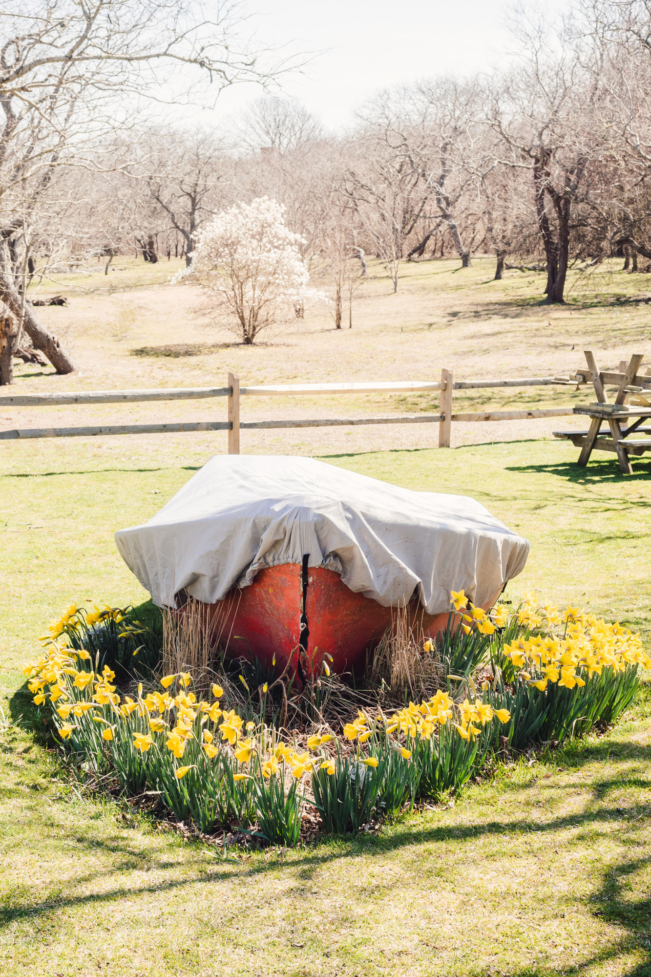 Covered Red Boat at Something Natural