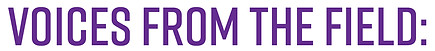 VFF_2_WEB_BANNER.jpg