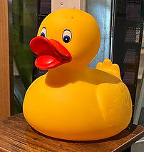 Ducktown_Rubber_Duck.jpeg
