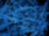 Closeup Blue Scrap Gate and Runner from