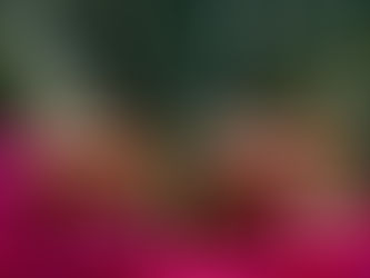 El Museo del Pulque y las Pulquerías abrirá sus puertas en la CDMX con curados y mucha historia