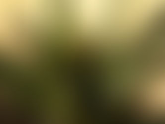 Declaran al Mezcal el alcohol más perfecto del mundo para consumo humano.