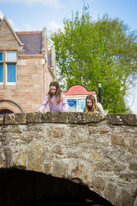 Scottish Children's book, Winston the Bear, Dragon Hunting in the Highlands