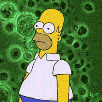 200w.gif