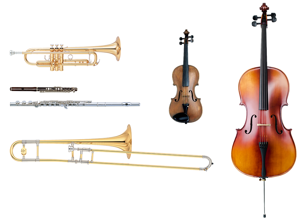 Instruments_in_the_Attic-6.png