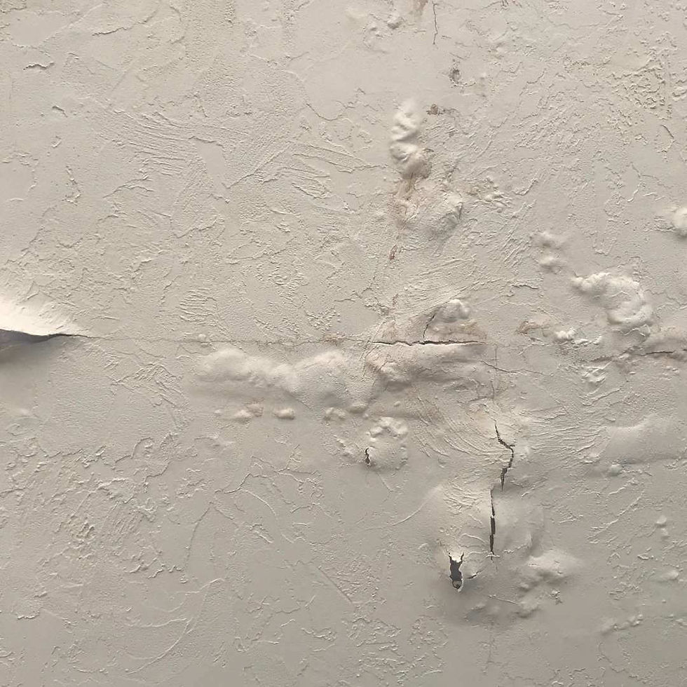 Peeling and bubbling paint from water intrusion.
