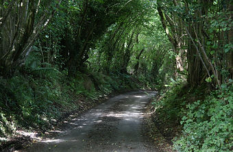 IMG_7859.JPG