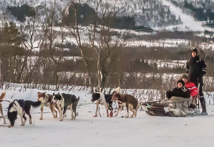 michellemaria_pitzel-dog-sledding-2068876.jpg