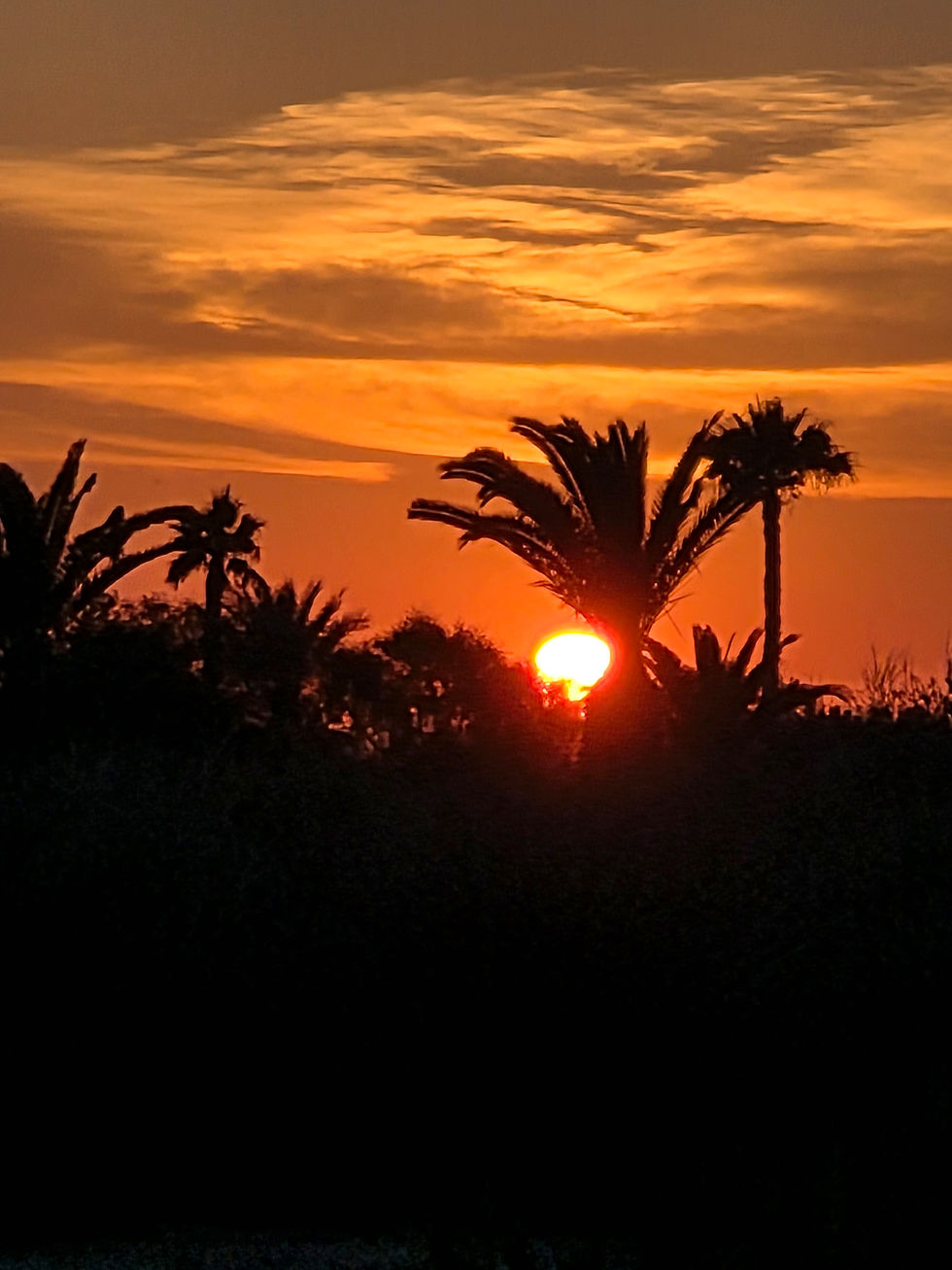 Golden sunset over the pink salt lakes of Torrevieja, Spain. Original landscape photograph by Kerstin Larisch.