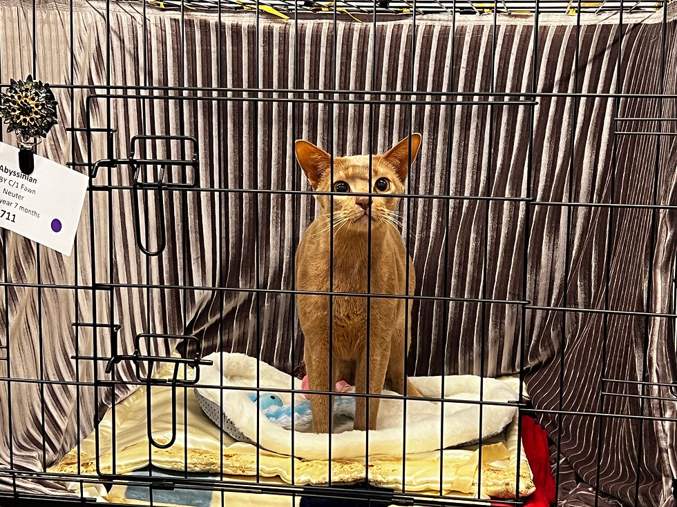 Weixin Image_20240901231356