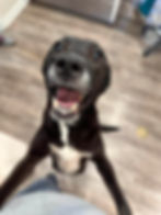 d5c7a5c70ac44cd17ebfc03255eff96b