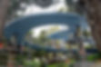 30979399-T-1.jpg