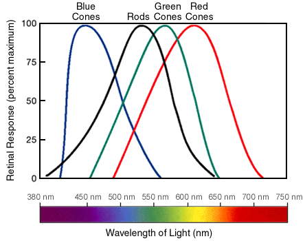 Figure 1.gif