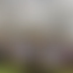 How long does it take to plan a wedding?