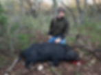 Vaughn Hog
