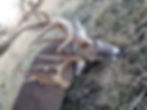 Bruiser3