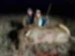 Chad and Kelly Cow Elk