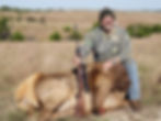 Tatro Cow Elk
