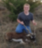 Blackbuck
