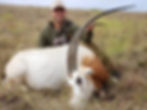 Ricardo Jimenez Oryx