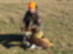 Blackbuck
