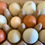 Thumbnail: Pasture raised chicken eggs - 1 dozen
