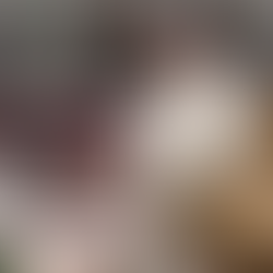 The two Indian Blessed are Canonized and raised to the honour of the Altar