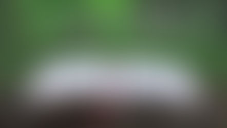 Liturgy of the Word - July 19, 2020