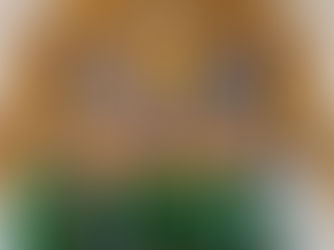 Vianney Sunday 2024 - Divine Mercy, Bhayandar