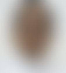 Fr. Rabindra Kumar Appointed Auxiliary Bishop of Cuttack-Bhubaneswar