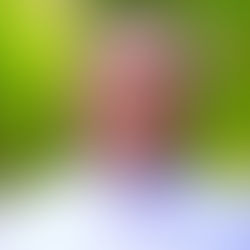 Archbishop Mar Jacob Thoomkuzhy Passes Away