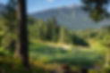 Golf Lifestyle_Brad Kasselman_EXP SEP 1 2025 (10).jpg