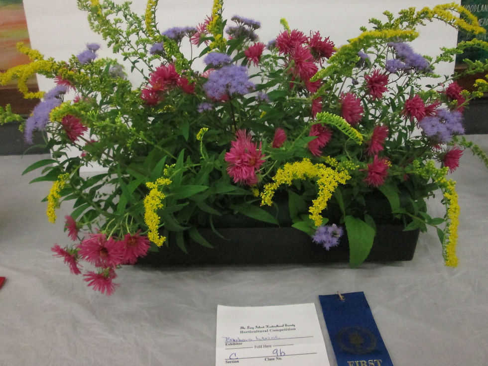 Barbara Levine 1st Place