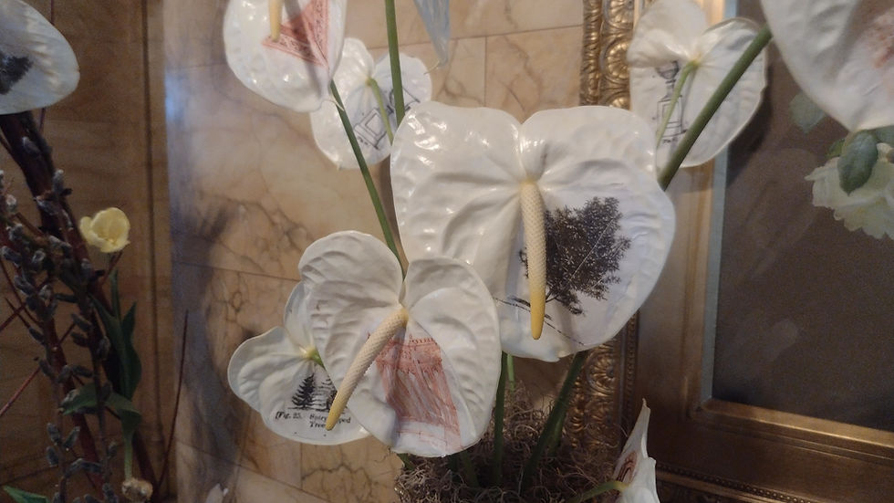 Hand stamps on Anthurium spathes