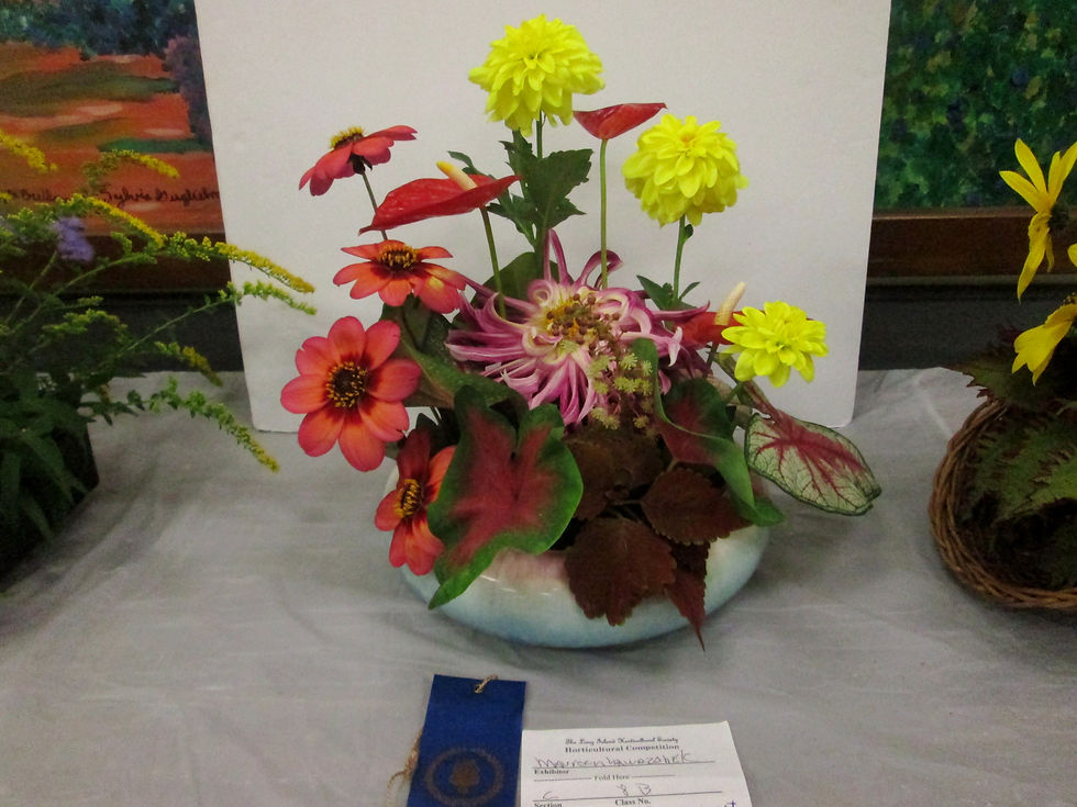 Maureen Wawrzonek 1st Place