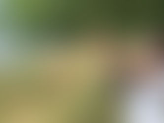 Акція пам'яті "Голоси дітей"