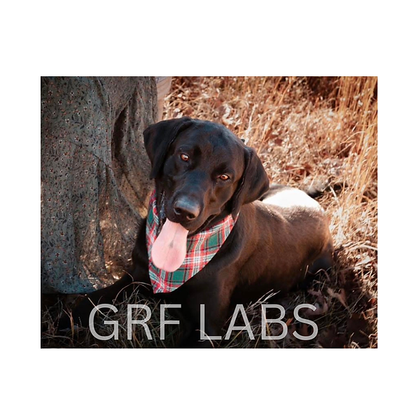 GRF LABS - 1.png