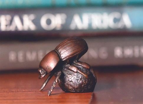 MB18 Dung Beetle.jpg