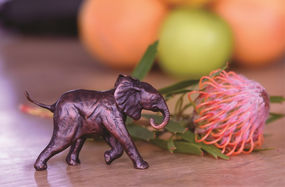 MB3 Elephant Calf Trunk Down.jpg