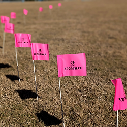 Pink marking flags