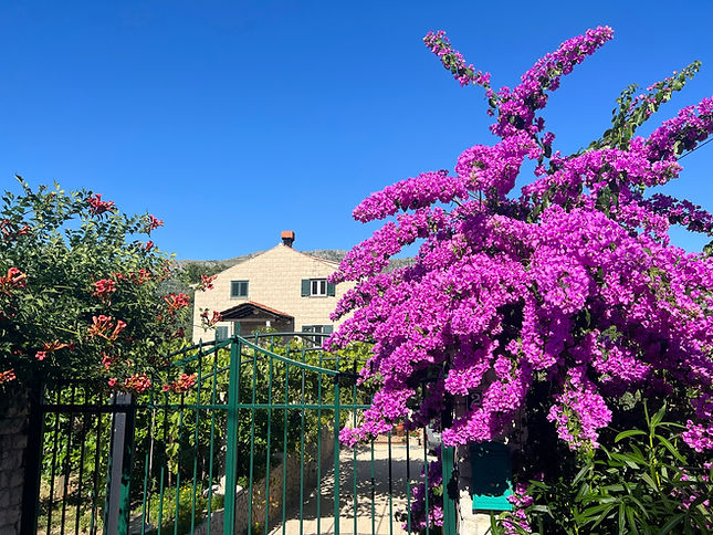 Villa sa Bogumilom.JPEG