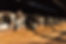 DM_Eichenauer-83.jpg