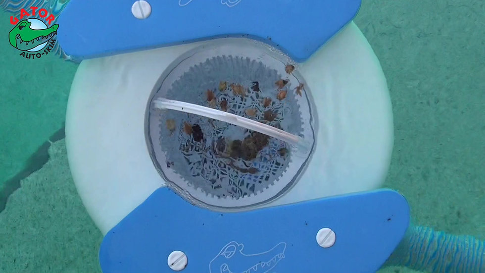 gator inline pool surface skimmer